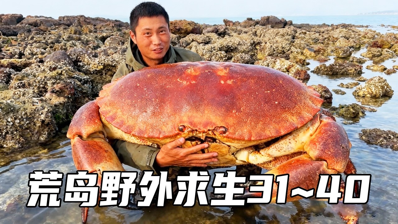 带美女无人荒岛野外求生（31~40）：荒岛庇护所修建上下铺，突遇刮台风还降暴雨，美女队友做蓑衣好暖心【户外平头哥】