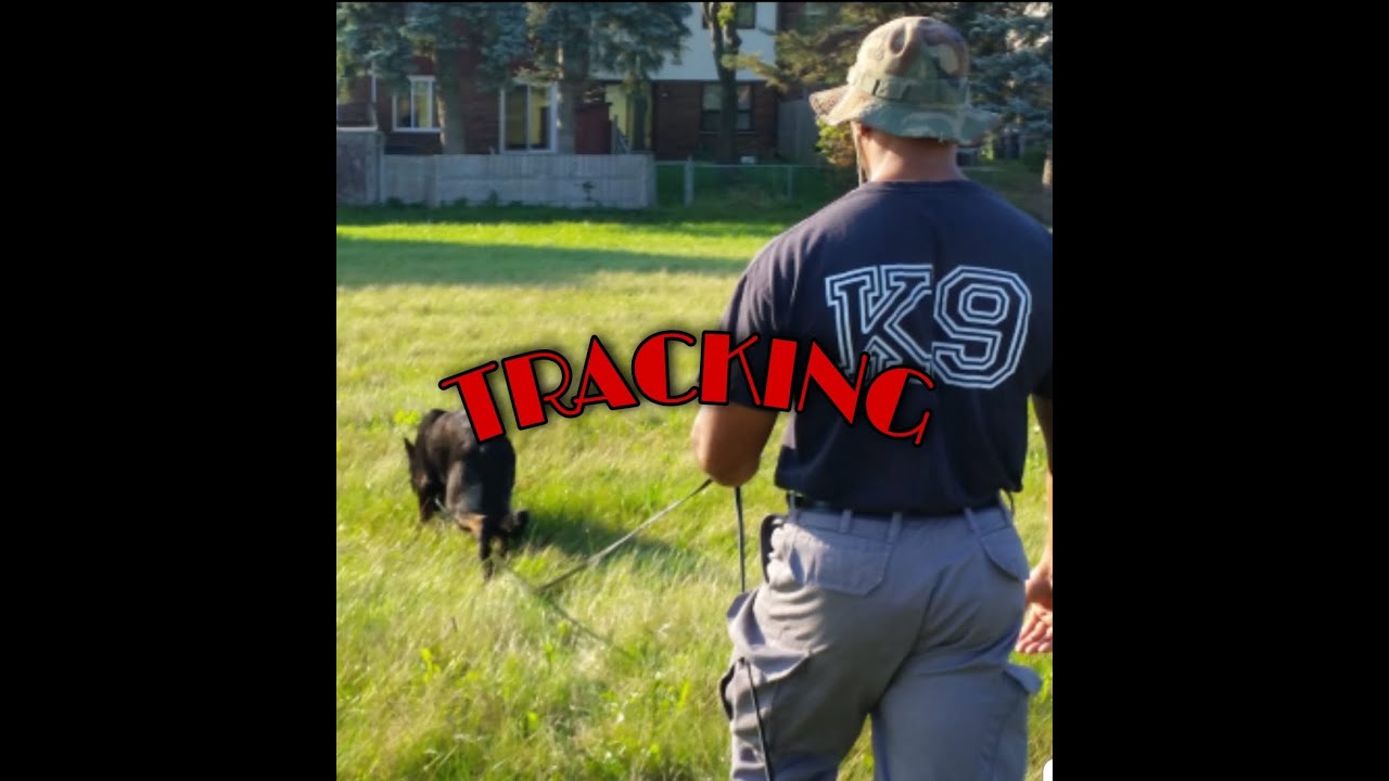 TRACKING VIDEO