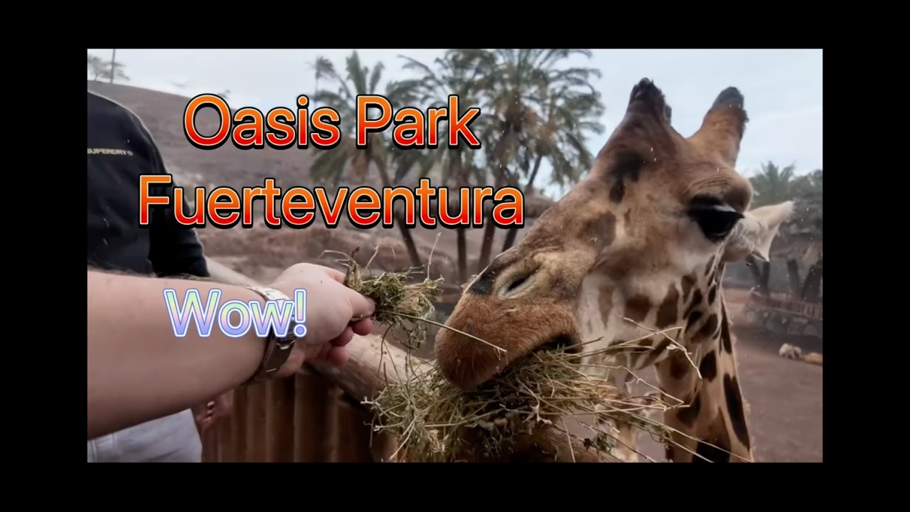 Oasis Park tour on Fuerteventura