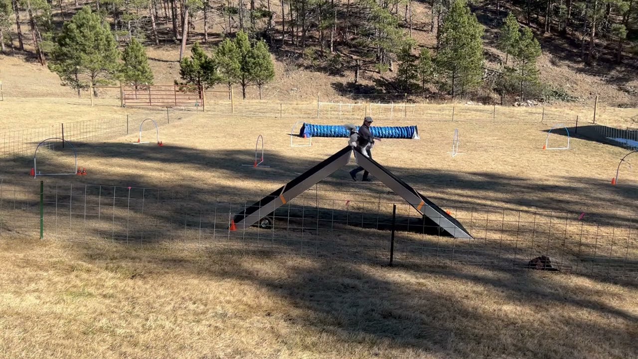Zani, Happy Elite T&G, Rd. 1, 2/6/26