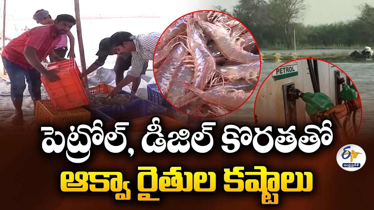 Fuel Shortage Hits Aqua Farmers in West Godavari