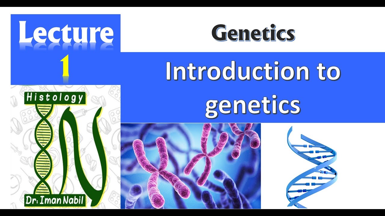 1-Introduction to genetics-Genetics