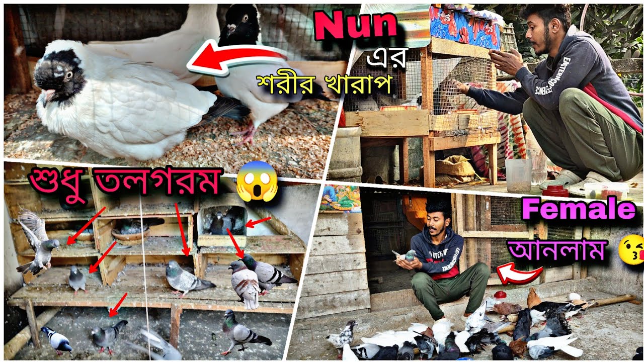 দাদার বাড়িতে শুধু তলগরম একটা নিয়েই আসলাম 😘Nun এর শরীর খারাপ 😥#myworld #petsvlog 