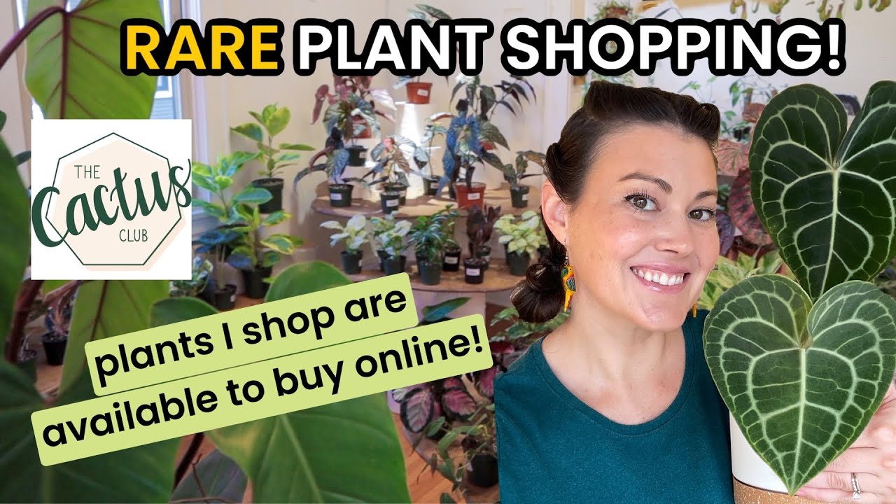 NEW! PLANT FRIENDS CAN BUY WHAT I SHOP! Plant Shopping At Cactus Club - Houseplants & Indoor Plants