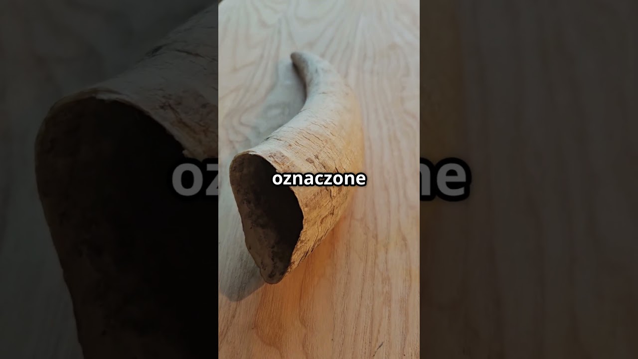 Rolnictwo Biodynamiczne &ndash; Magia czy Nauka? #farming  #ogrodnictwo #biodynamicfarming #organic