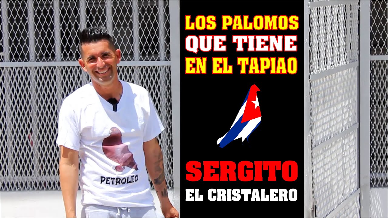 Los Palomos de Competencia que Sergito tiene en el 