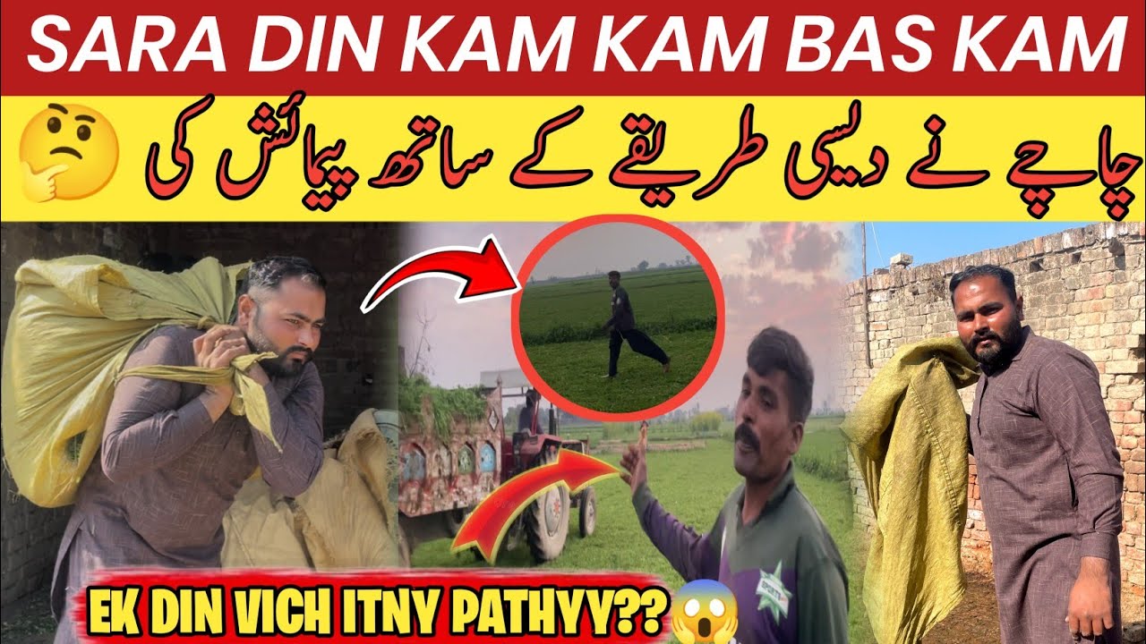Sara Din Kam Kam Bs Kam 😤 | Ek Din Vich Itny Pathyy??😱 | چاچے نے دیسی طریقے نال پیمائش کی 🤔
