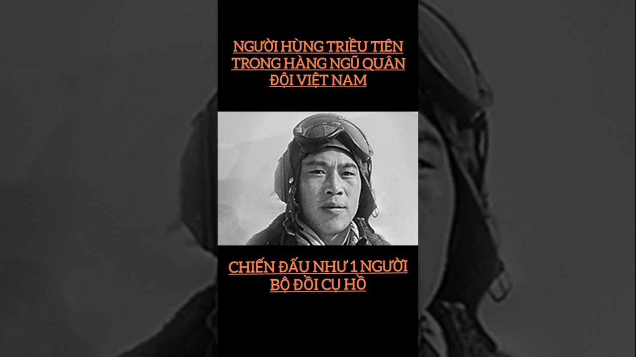 A remarkable hero #vietnameseblood #reversetimeofhistory #vietnamhistory #bacho #podcast #vietnam...