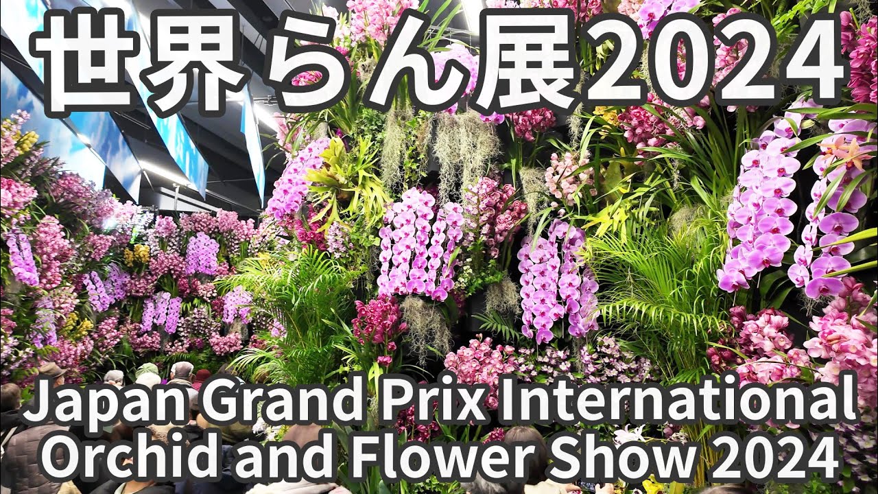 世界らん展2024（東京ドームシティプリズムホール）