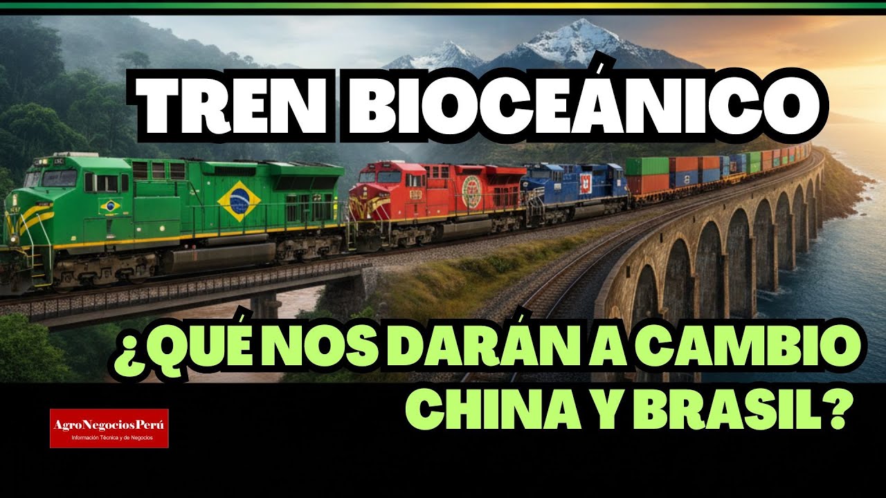 Tren Bioceánico es para Perú una herramienta de poder geopolítico y económico.
