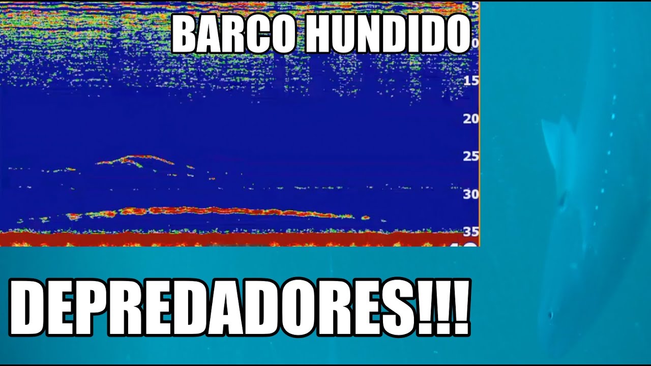 INTERPRETAR SONDA PESCA. BARCO HUNDIDO, CORVINAS, PARGOS.