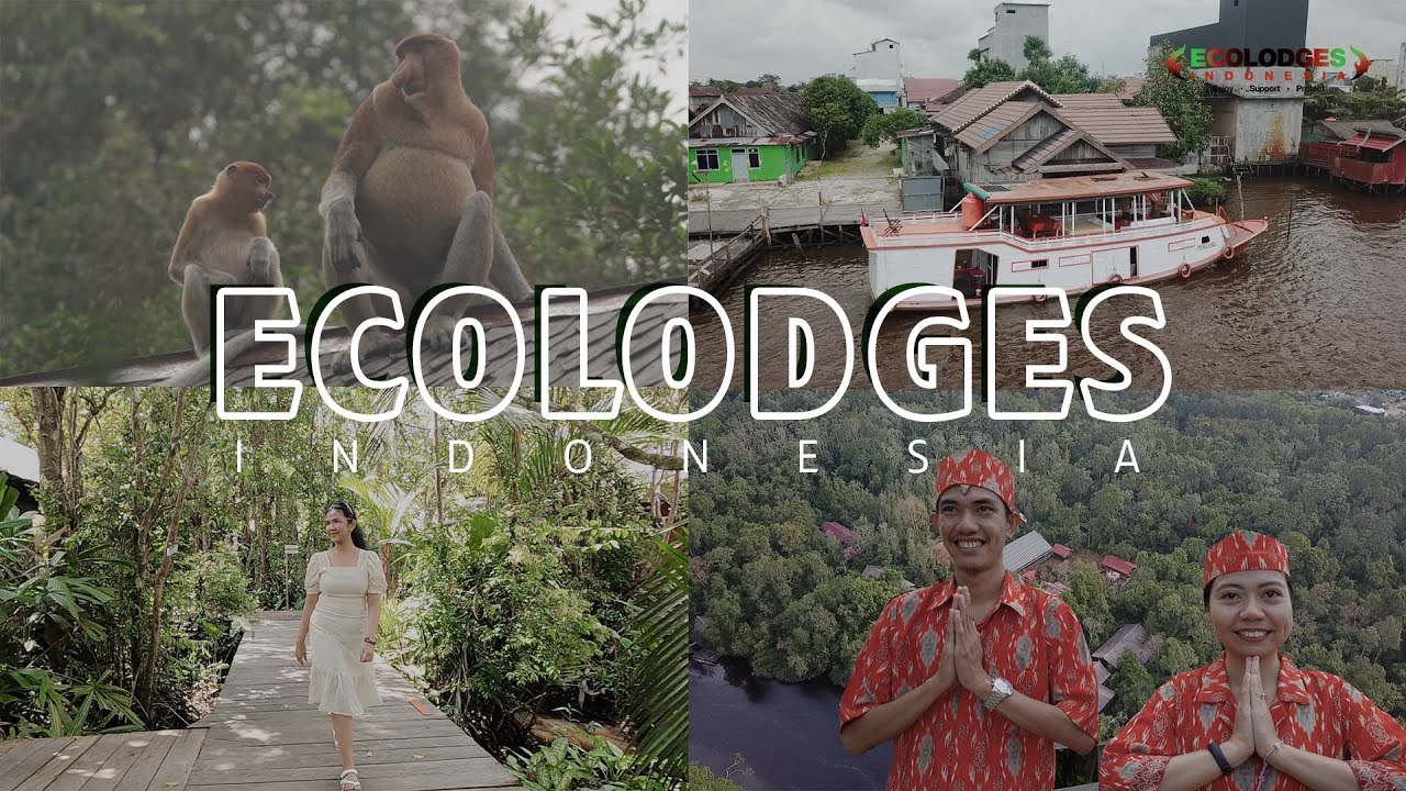 The Rimba Orangutan Ecolodge is now open, we are ready to for the guests.