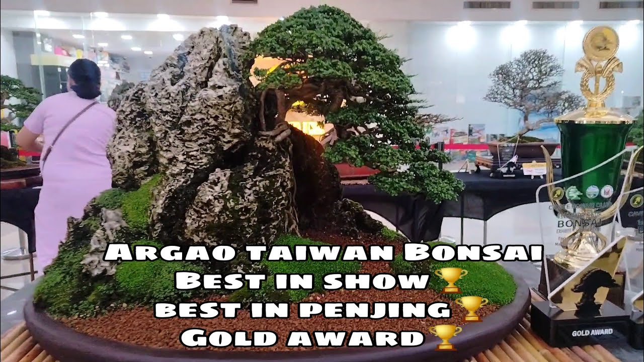 Bonsai Exhibit & Competition | Cavite Bonsai Club | Bonsai Show | #bonsai #bonsaitree
