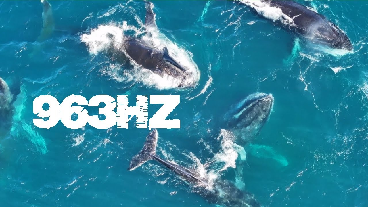 DEEP 963Hz | Kommetjie 2025 #walkonwater #westcoast #southafrica #963hz #godfrequency