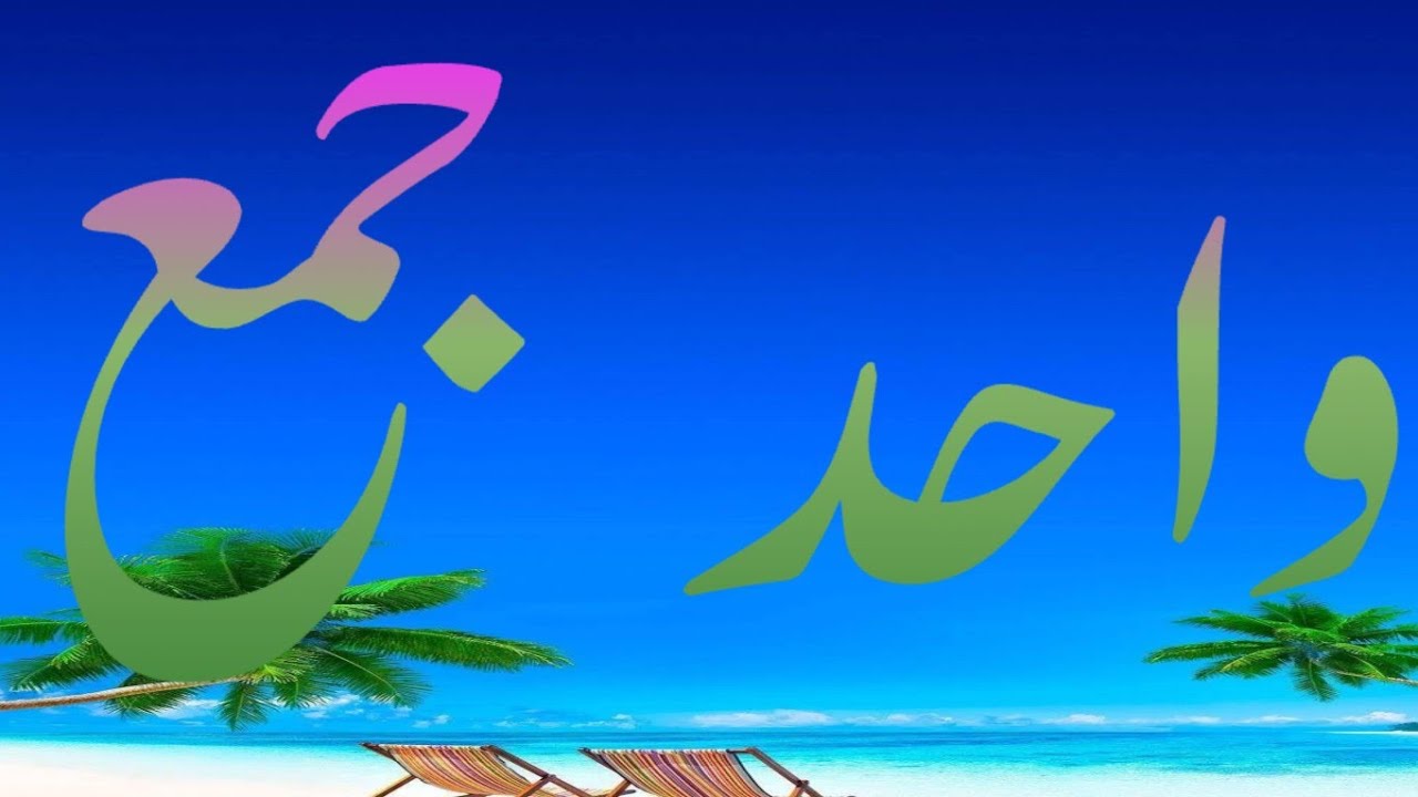 Urdu WAHID jama || Sigular and Plural || اردو واحد اور جمع || اردو قواعد  || #IQRA URDU TEACH