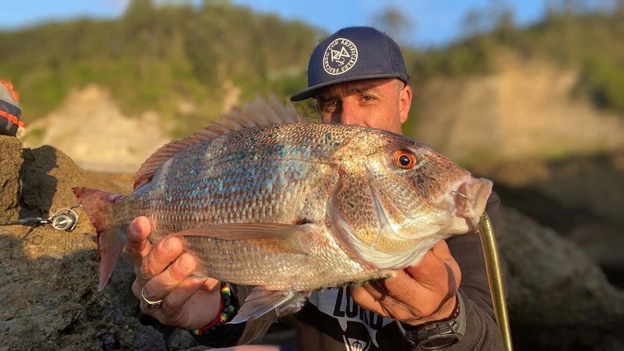 VV49- DENTÓN en la RÍA ¡¡¡