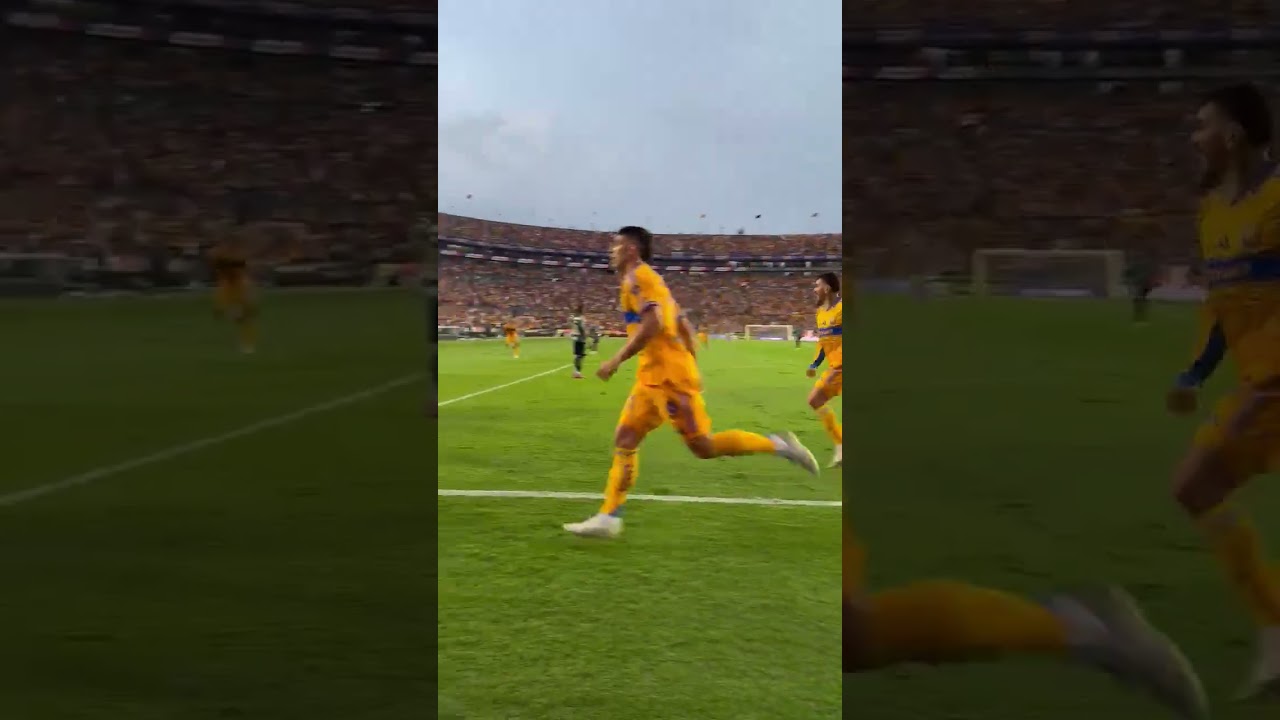 Gooool de Juan Brunetta, lleg&oacute; el primero para Tigres.