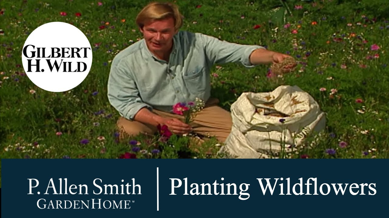 Growing  Wildflowers | Garden Home (705)