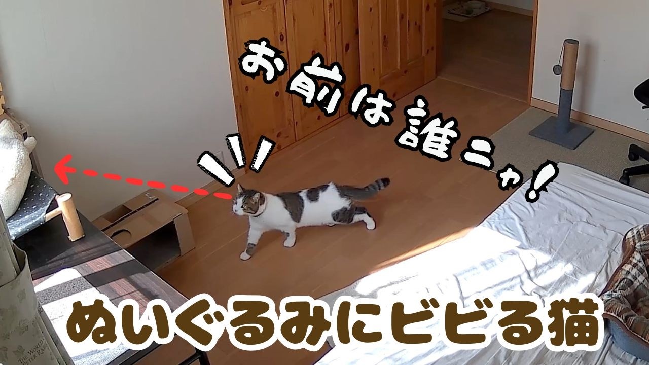 くまさんが落ちた