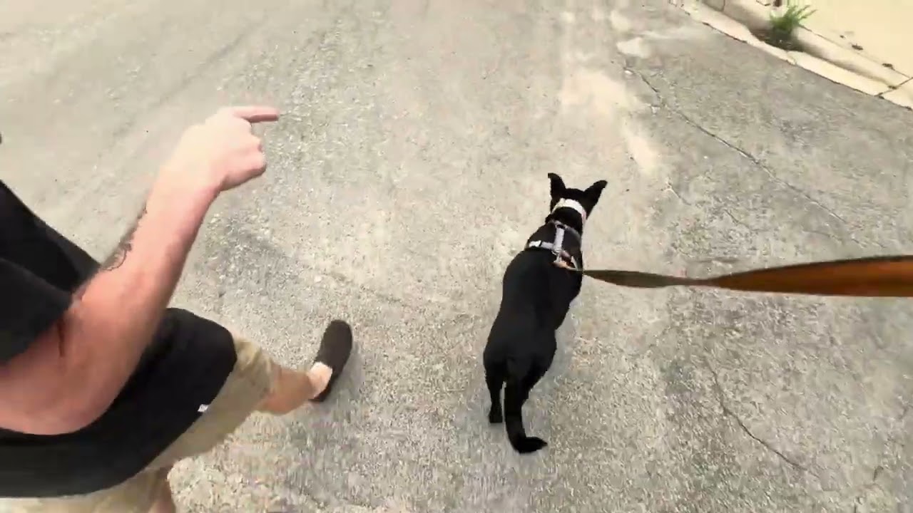 A Walk with Max
