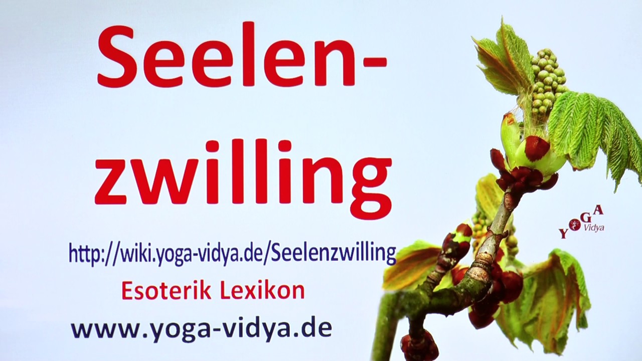 Seelenzwilling