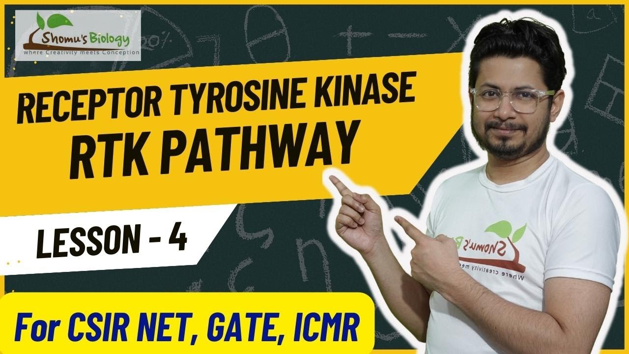 Receptor tyrosine kinase pathway | RTK receptor cell signaling