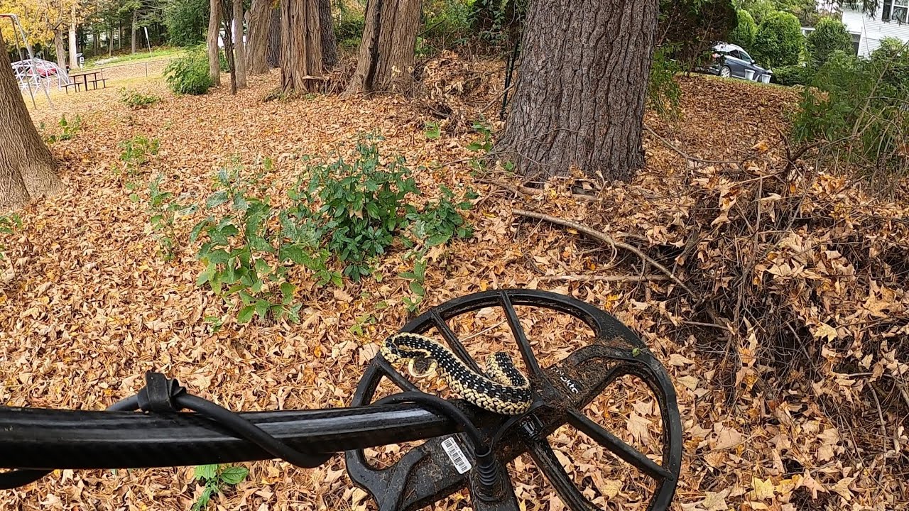 THE FIRST HUNT WITH THE SIMPLEX ULTRA