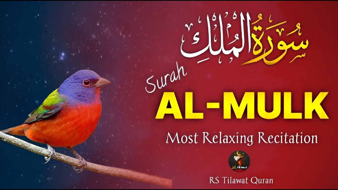 Most Beautiful Quran Recitation of Surah Mulk | surah mulk ki tilawat | RS Tilawat Quran