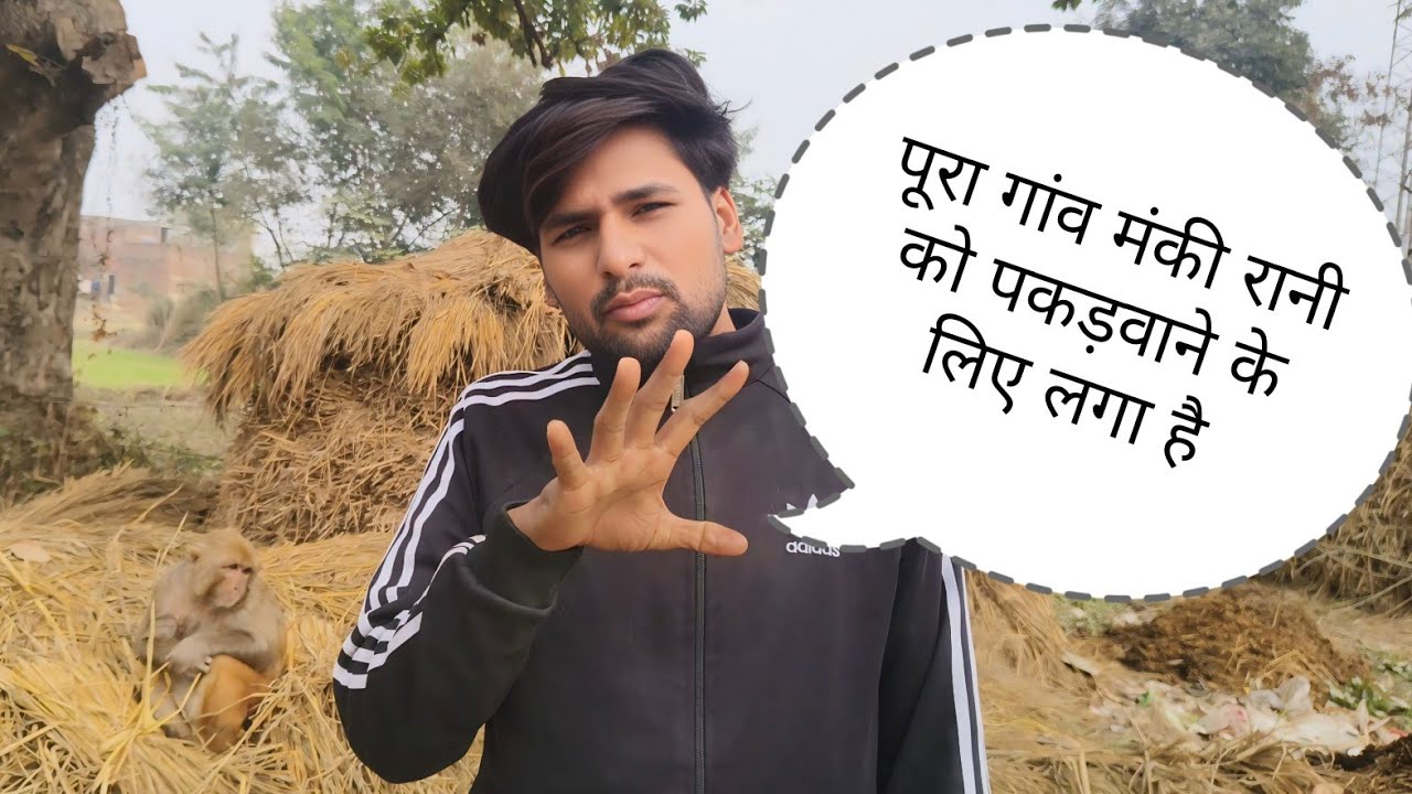 मंकी रानी को पकड़वाने के लिए पूरा गांव लगा है 😭।। @Queenrbl12345 