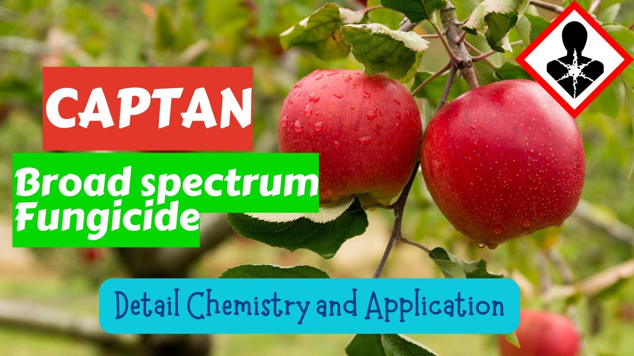Captan Fungicide: Uses, Mode of Action, and Safety Guidelines