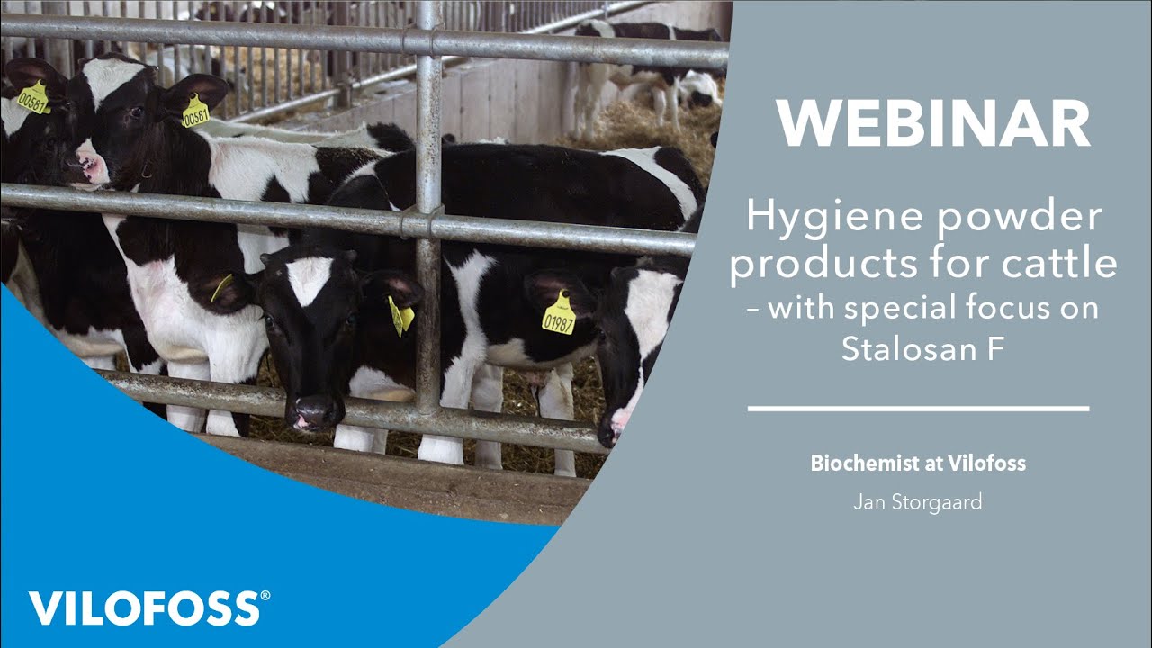 WEBINAR: Hygiene powder products for cattle – with special focus on Stalosan F