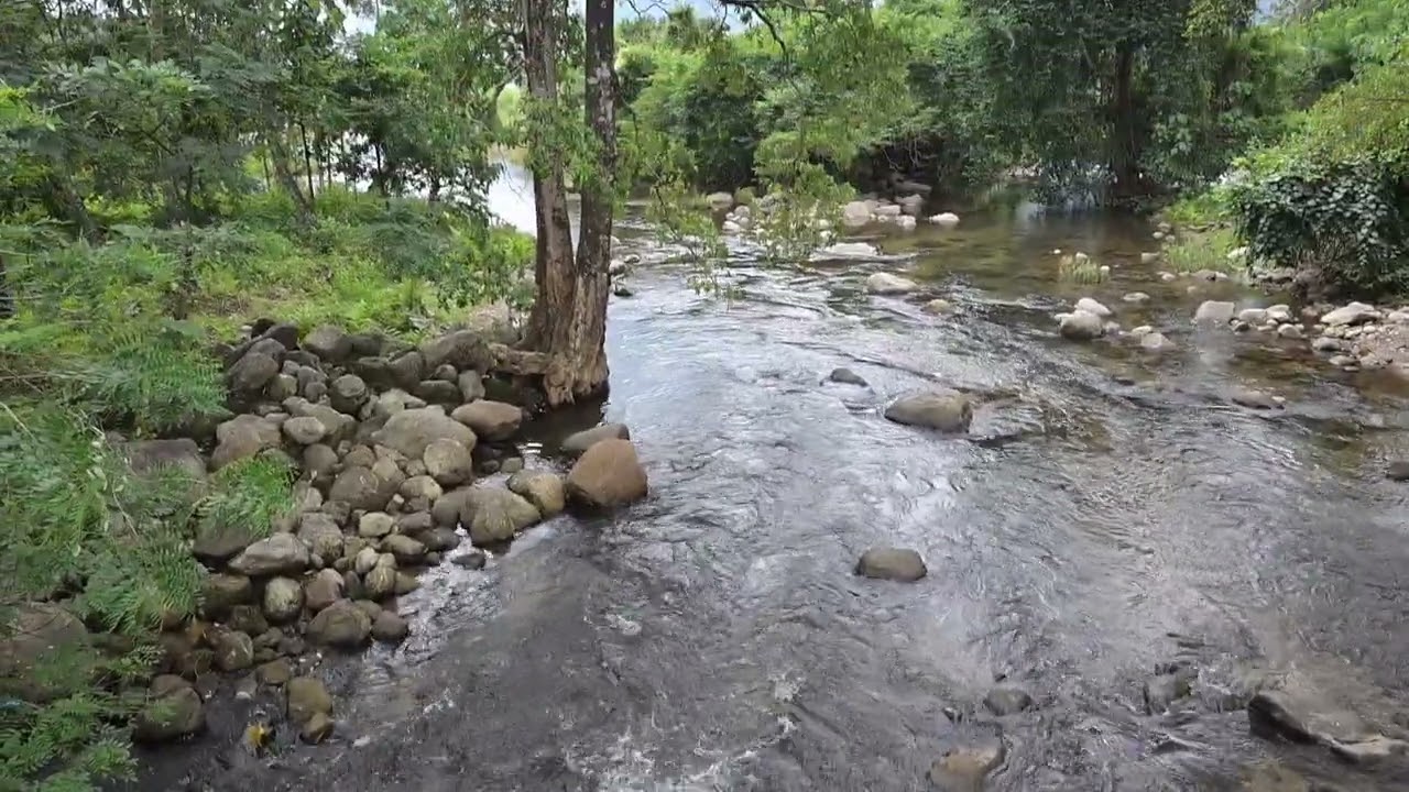 KAVA MALAMPUZHA