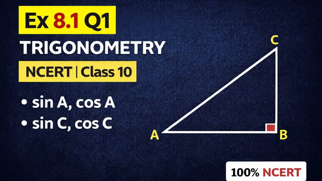 NCERT Class 10 Trigonometry | Exercise 8.1 Q1 Solution | Concept Logic Solver