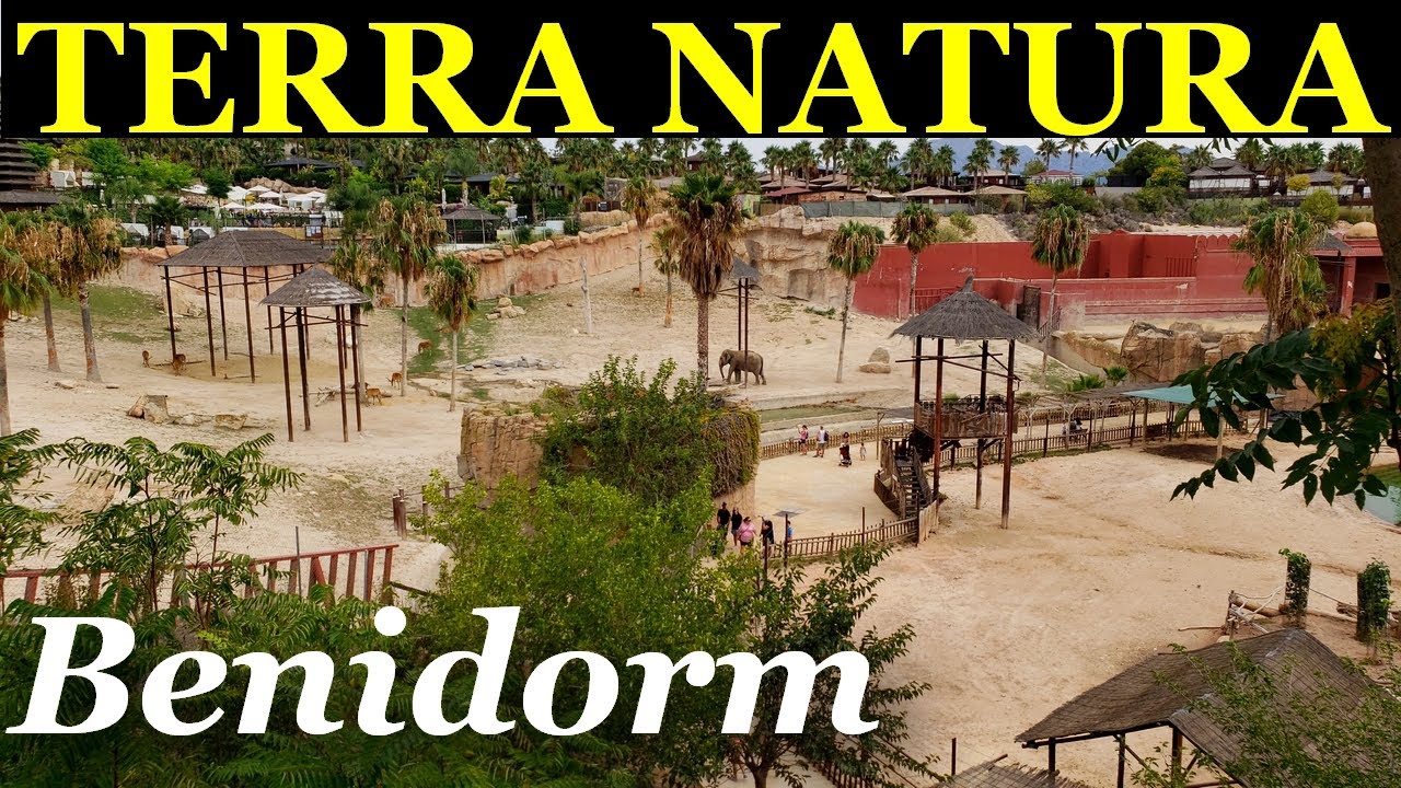 SPAIN: BENIDORM. Terra Natura, the new generation zoological park.
