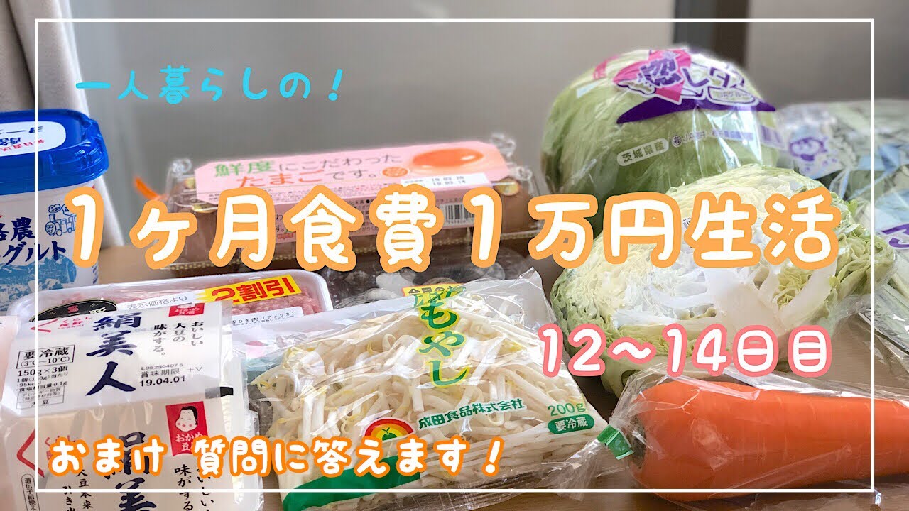 １ヶ月食費１万円生活【その５】一人暮らしの食費節約/一口コンロ
