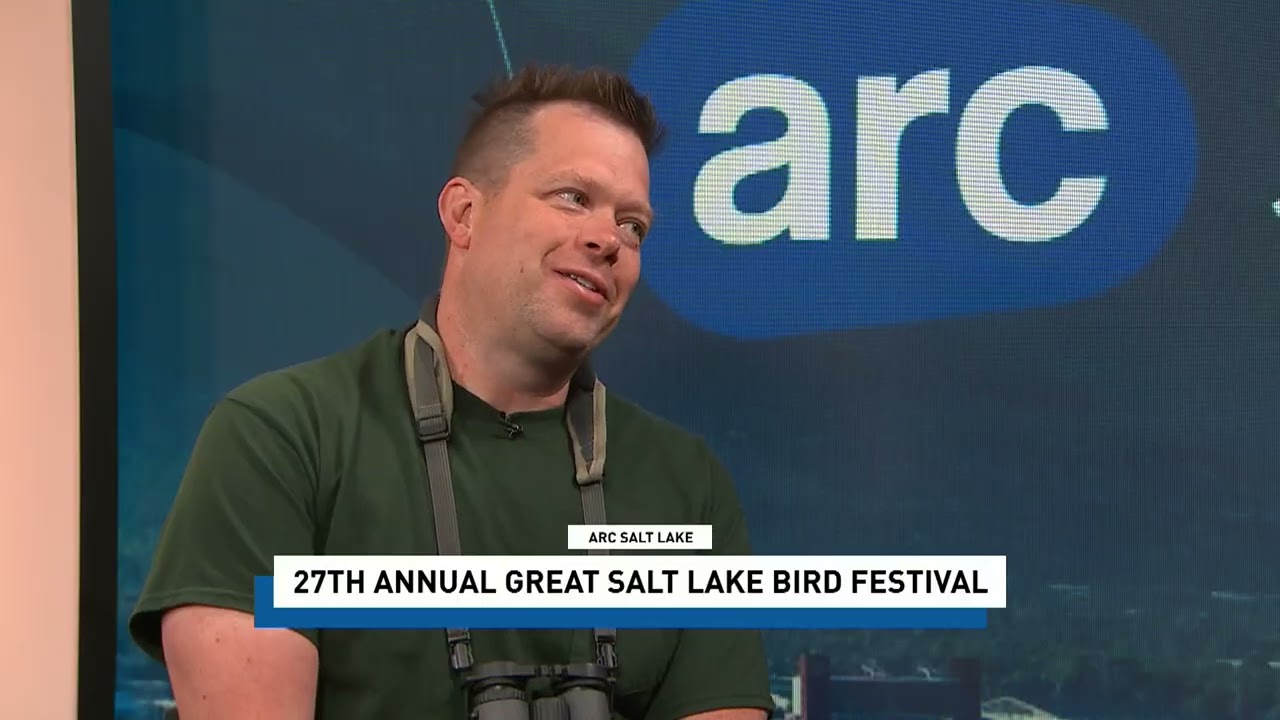 Love birds! This week is the Great Salt Lake Bird Festival