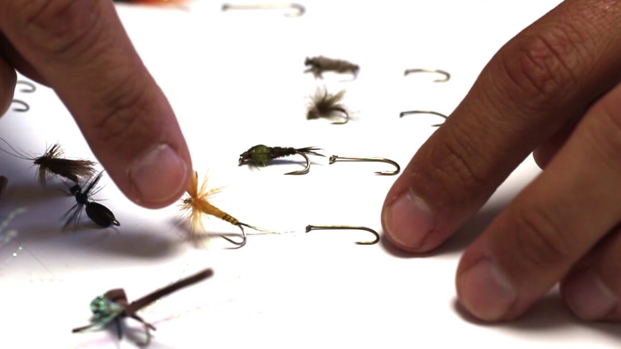 Escuela de pesca - Elegir el anzuelo correcto para cada tipo de mosca (PESCAYRIOS)