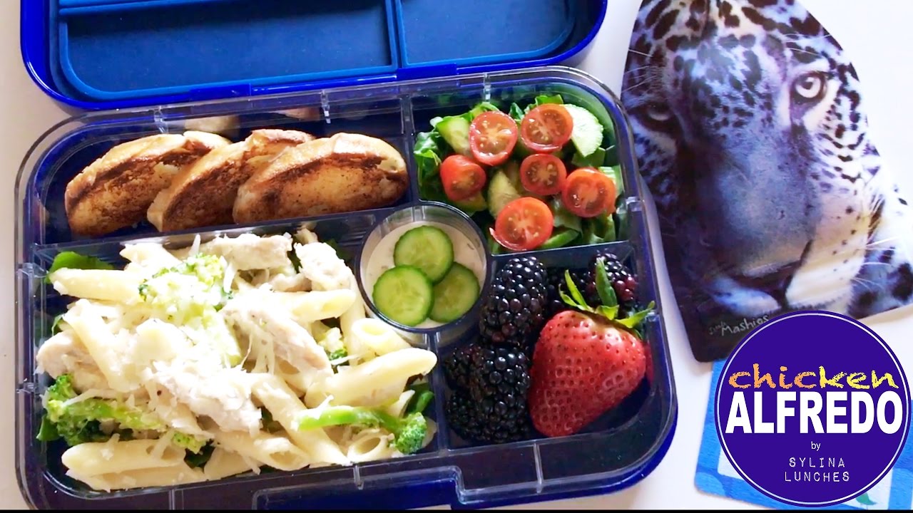 School Lunch Ideas - Chicken Alfredo & Garlic Bread