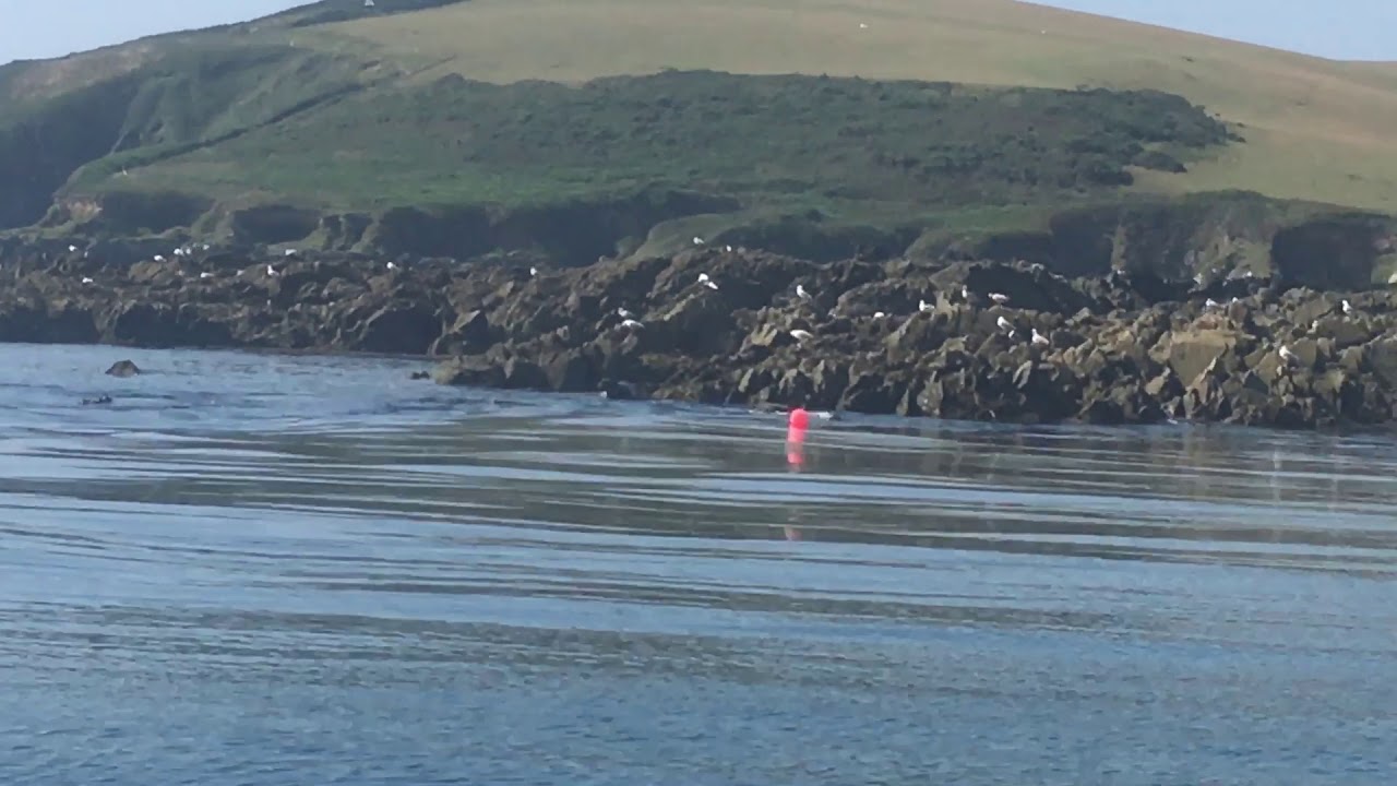 Boat trip from Mevagissey to Chapel point -South Cornwall.