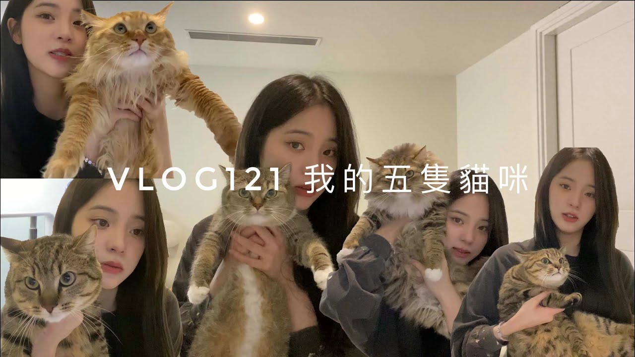 VLOG121 我的五隻貓咪