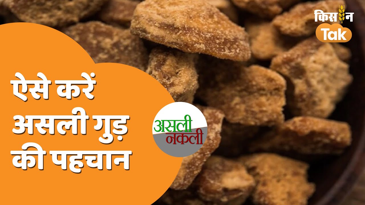 Pure Jaggery Tips: इस वीडियो में शुद्ध गुड़ की पहचान के टिप्स जानें | Asli Gur | Kisan Tak
