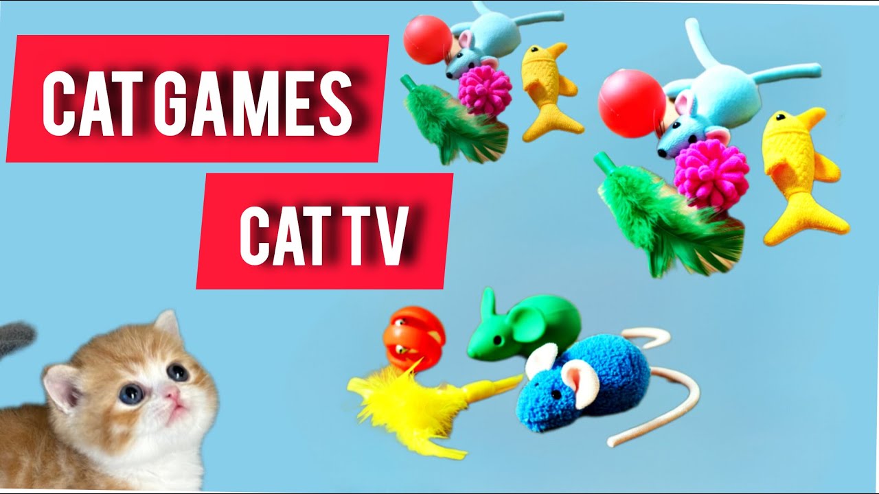 Cat Games- String Videos for Cats to watch