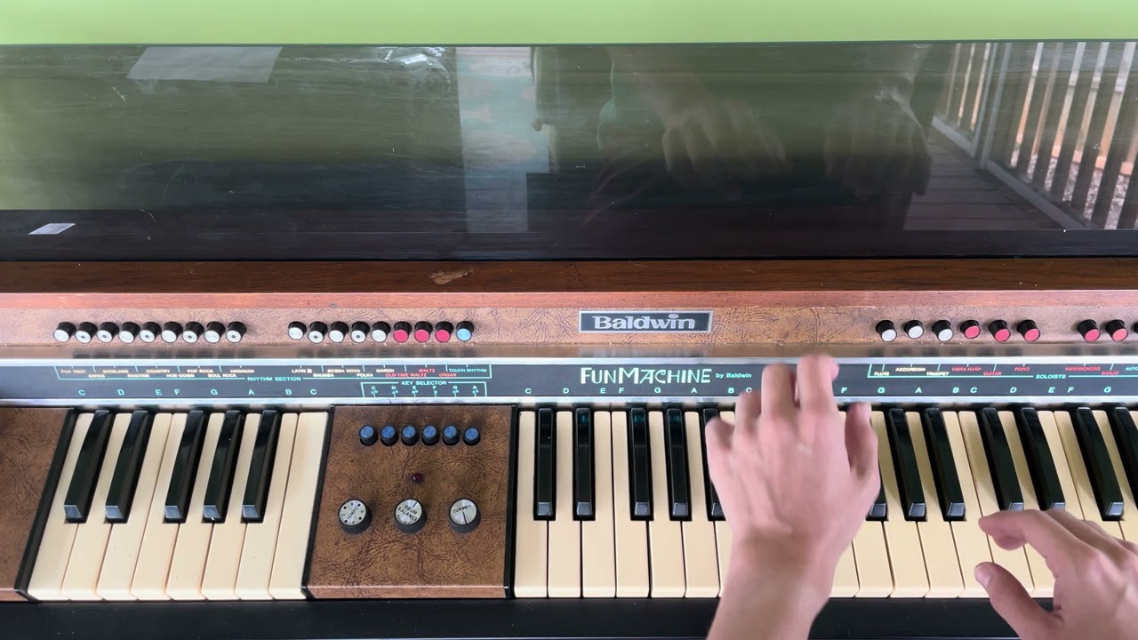 Organ Improvisation with Birds - Baldwin Fun Machine