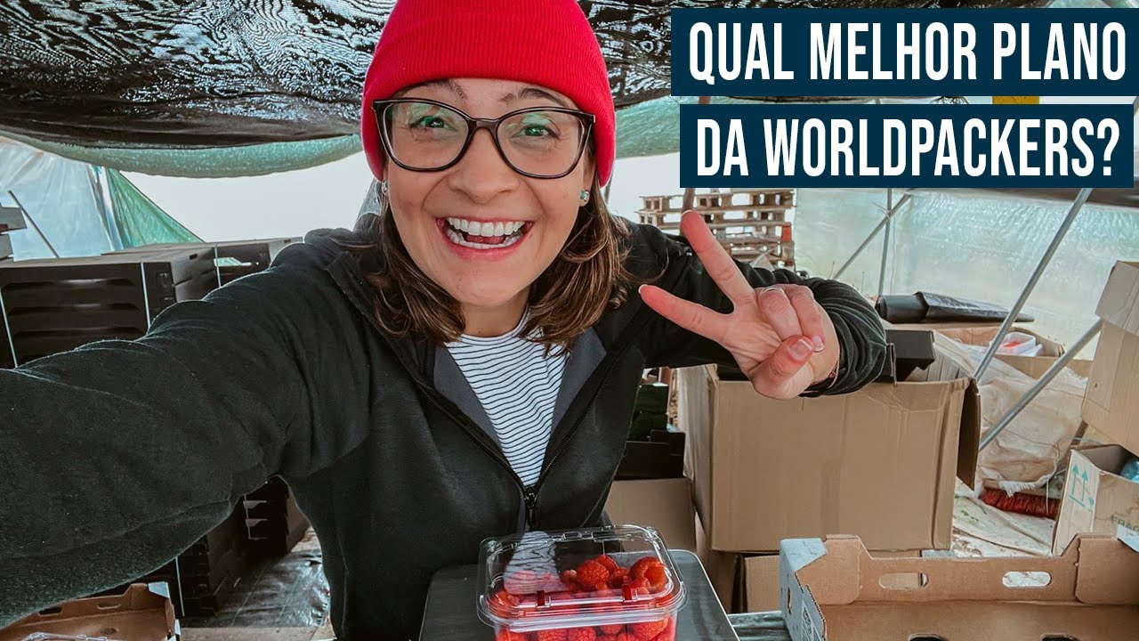 Quais são os PLANOS DA WORLDPACKERS? Confira as diferenças