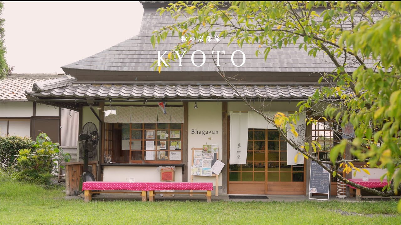 【京都vlog】まだあまり知られていない緑が美しいお店｜京都観光・カフェ巡り