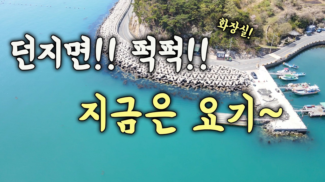 [다리tv] 던지면 퍽퍽!!! 지금 손맛 최고 방파제!!! 민장대 낚시!!!