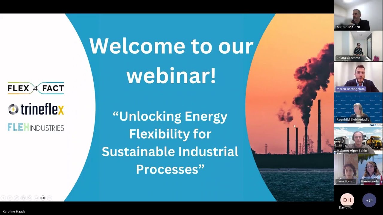Unlocking Energy Flexibility for Sustainable Industrial Processes