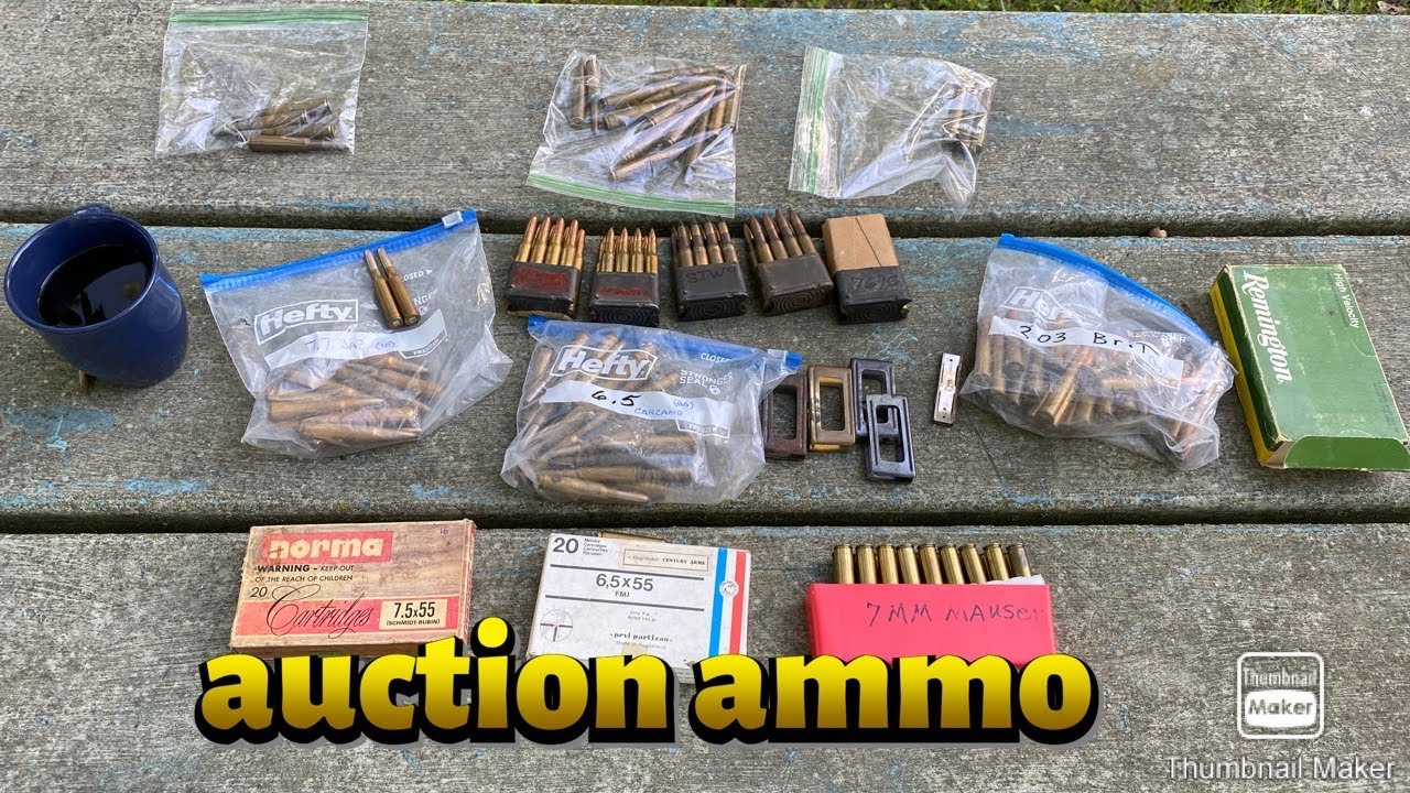 My Ammo purchase from an auction