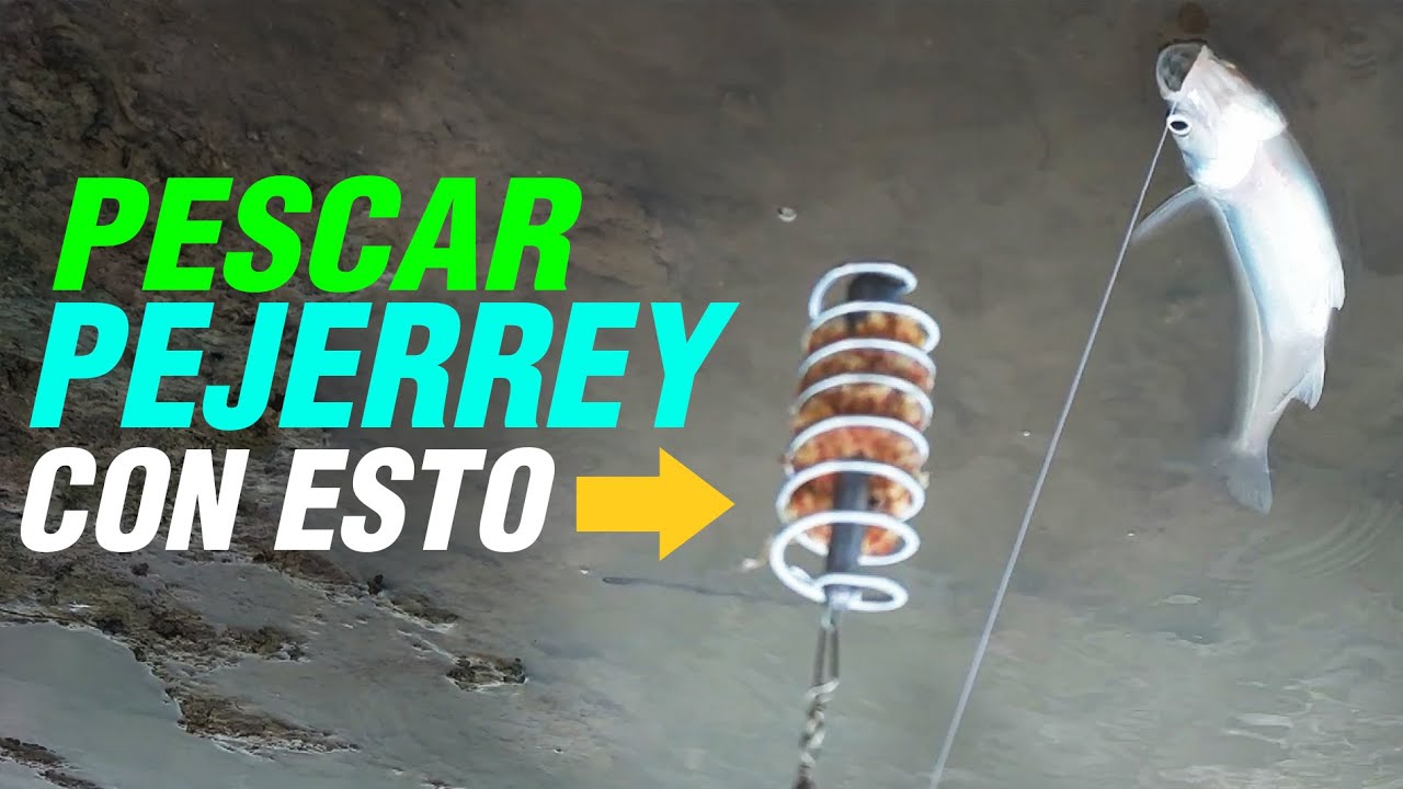 PESCAR PEJERREY DE UNA FORMA DIFERENTE