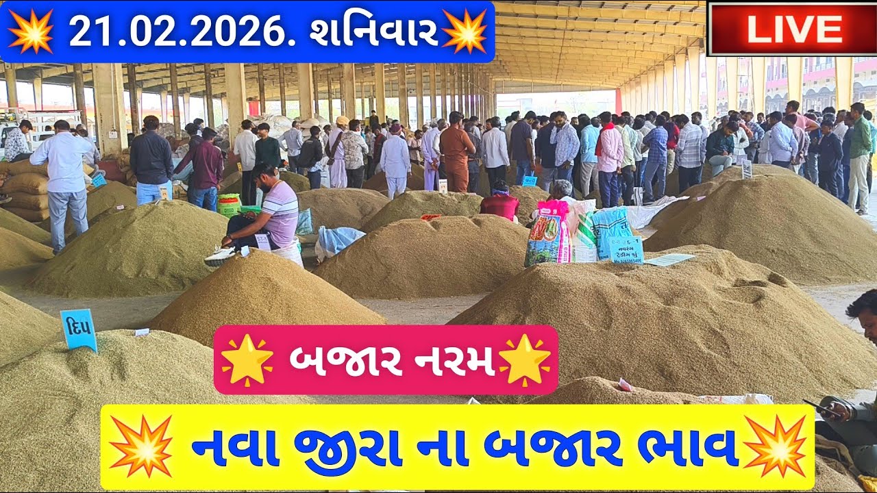 🔴live નવા જીરા ના બજાર ભાવ આજના જસદણ માર્કેટિંગ યાર્ડ, new cumin auction price,February 21, 2026